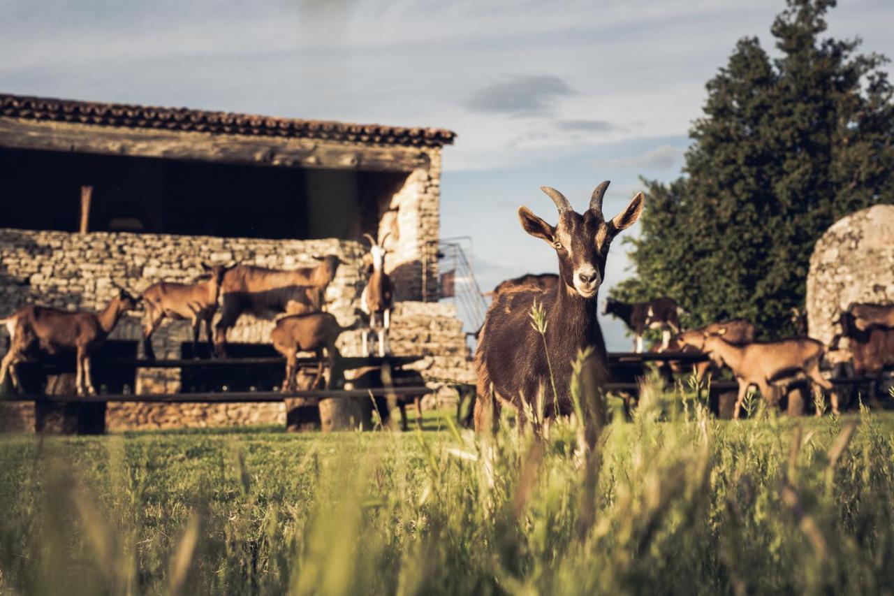 Le Domaine Du Castellas Sivergues Luaran gambar