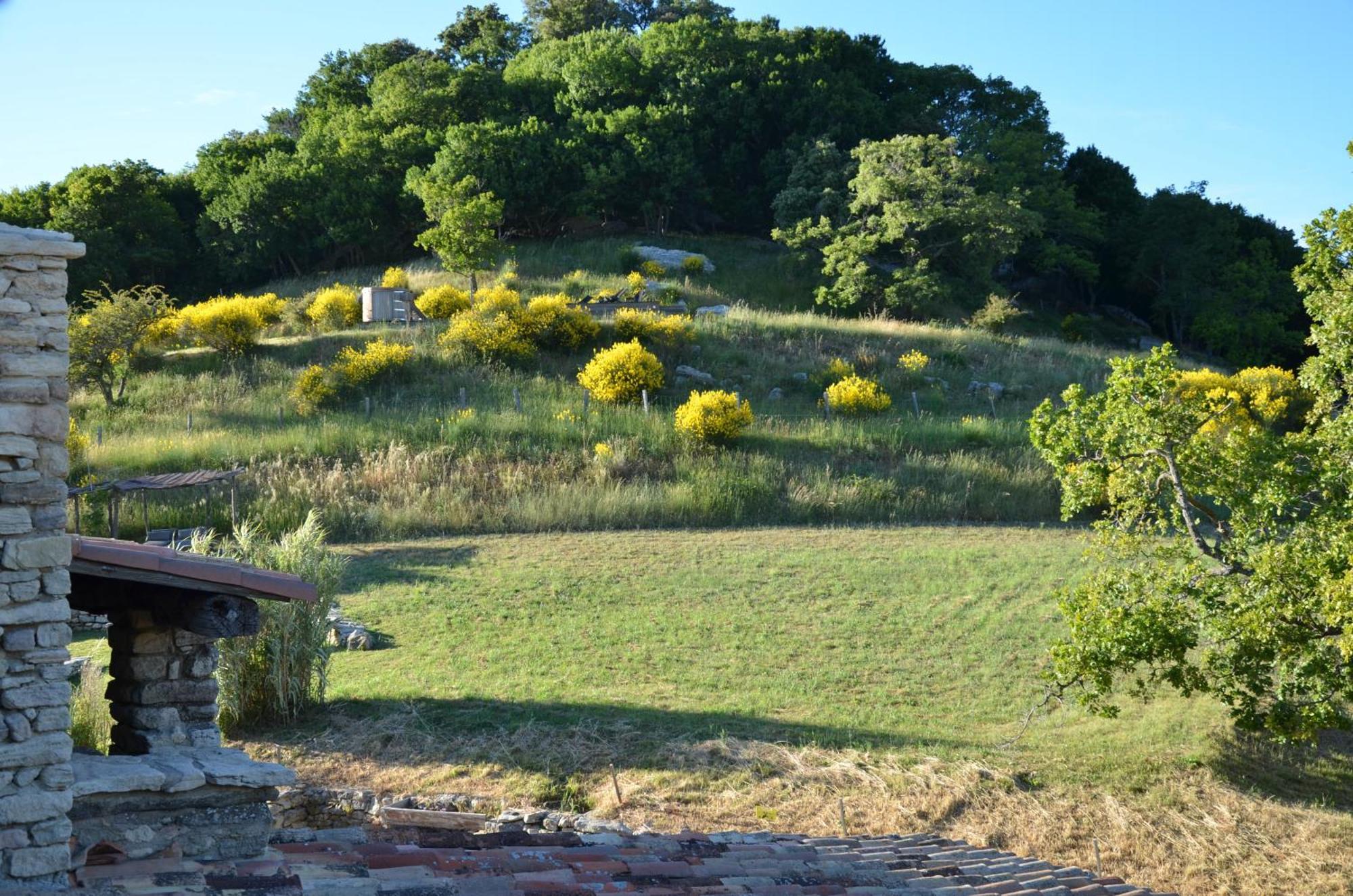 Le Domaine Du Castellas Sivergues Luaran gambar